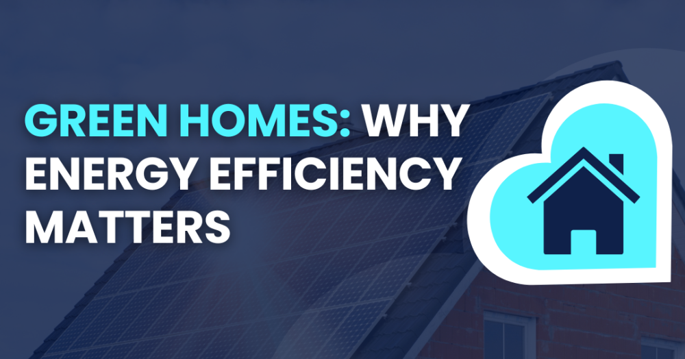 Green Homes: Why Energy Efficiency Matters