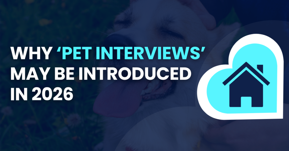 Introducing ‘Pet Interview’: A New Era for Landlords and Letting Agents