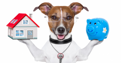 TO INVEST OR NOT TO INVEST