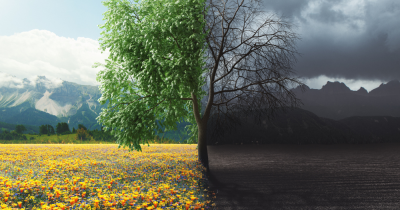 Many properties listed with agents don’t sell first time round