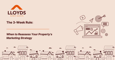 The 3-Week Rule: When to Reassess Your Property’s Marketing Strategy