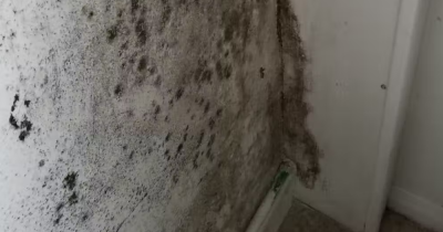 Half of London homes do not meet minimum energy rating in proposed bill