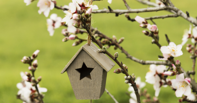 Why Spring is the Perfect Time to Sell Your Property in the UK