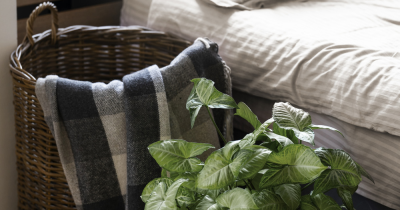 Elevate Your Property with a Summer Makeover!