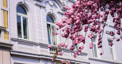 Top rental trends in 2024