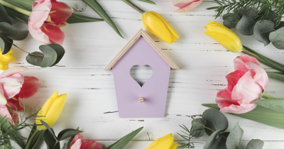 Elevate Your Rental Property This Spring: Tips for UK Landlords