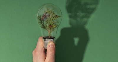 Effortless Energy Saving Tips : Cut Costs and Conserve with Zero Hassle