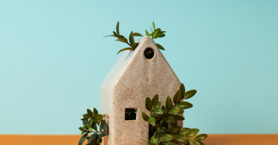 Eco Rental Makeover: Boost Value & Appeal with Green Upgrades