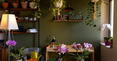 Garden vs Extra Bedroom: What Matters Most for Families?