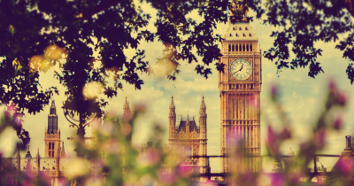 Local rental demand breakdown