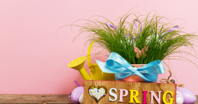Spring colour trends renters can use without repainting — cushions, throws, art, plants