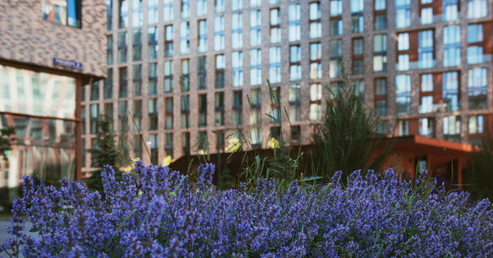 Finding a rental property this spring