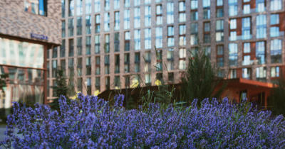 Finding a rental property this spring