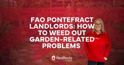 How to weed out garden related problems as a LANDLORD 🪴🍃