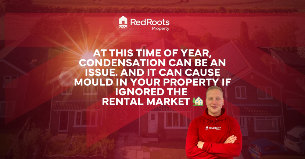 A Pontefract Landlord’s Guide to Combatting Condensation 💧