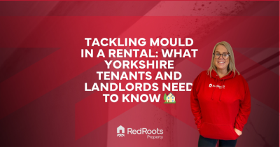 Tackling Mould in a Rental: What Yorkshire Tenants and Landlords Need to Know 🏡