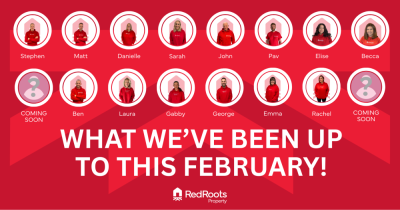 RedRoots: Your February Update and Exciting Developments 🤩