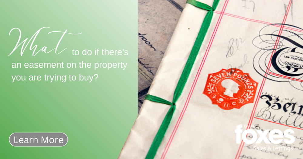 What to do if there's an easement on the property you are trying to buy?