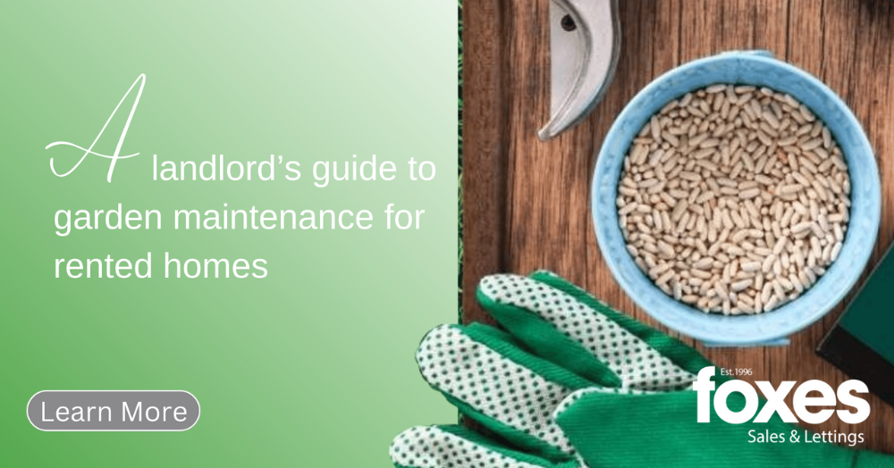 A landlord’s guide to garden maintenance for rented homes