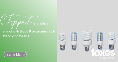 Support a healthier planet with these 8 environmentally friendly home tips