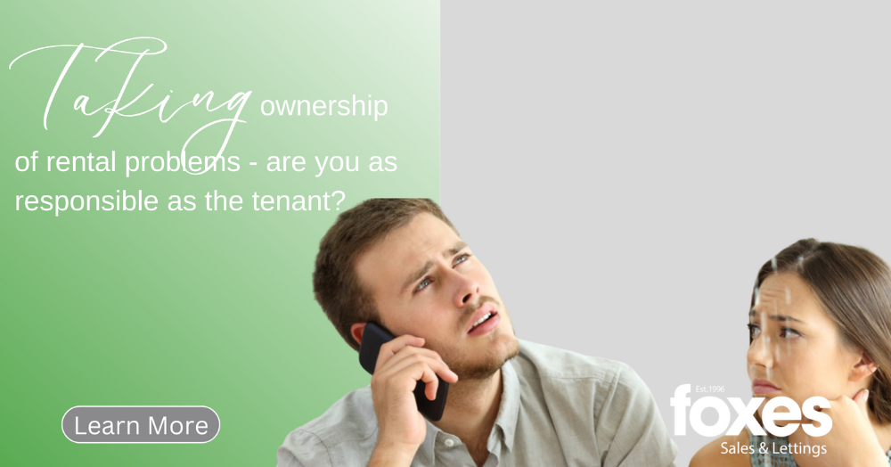 Taking ownership of rental problems - are you as responsible as the tenant?