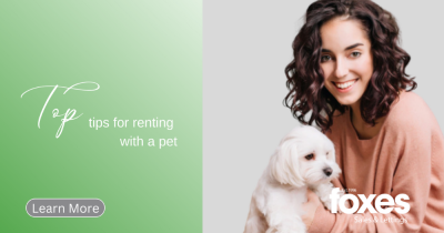 Top tips for renting with a pet