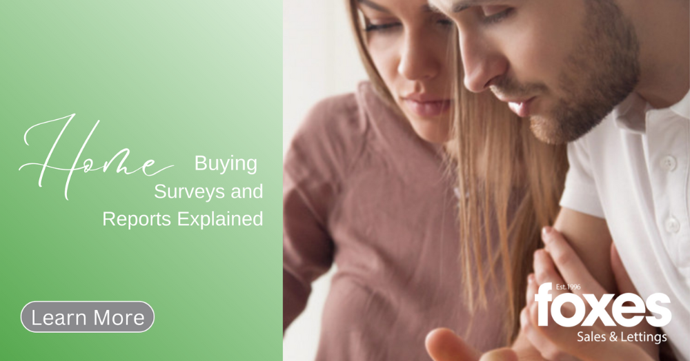 Home Buying Surveys and Reports Explained