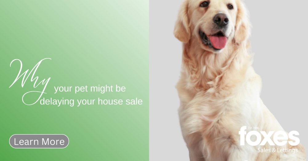 Why your pet might be delaying your house sale