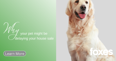 Why your pet might be delaying your house sale