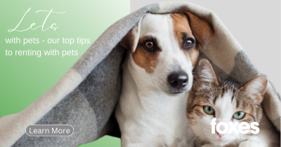 Lets with pets - our top tips to renting with pets