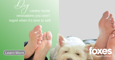 Dog-centric home renovations you won’t regret when it’s time to sell