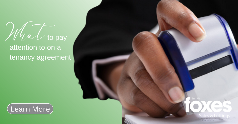 What to pay attention to on a tenancy agreement