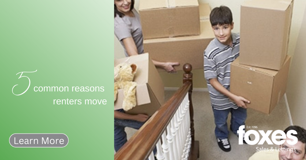 5 common reasons renters move