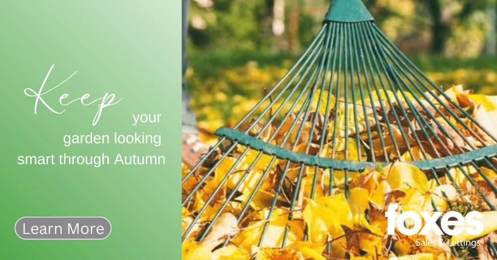 Keep your garden looking smart through Autumn