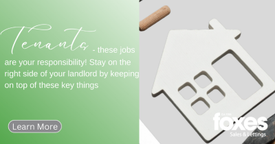 Tenants - these jobs are your responsibility! Stay on the right side of your landlord by keeping on