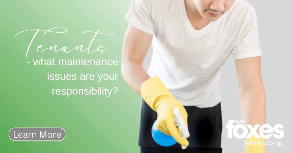 Tenants- what maintenance issues are your responsibility?