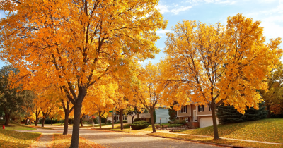 Sell your home this Autumn.