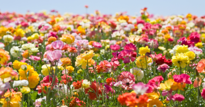 How to sell your home by Summer 2024