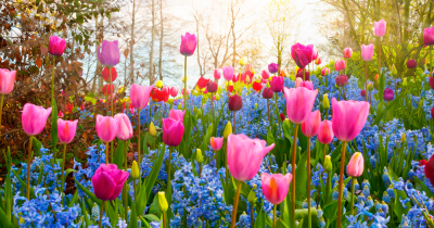 What to do when a tenant dies? A Landlords Guide.