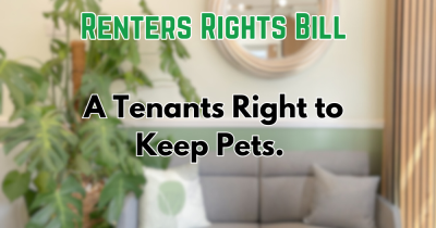 The Renters’ Rights Bill  - A tenants right to keep a Pet … Will a Landlord be able to say no?!