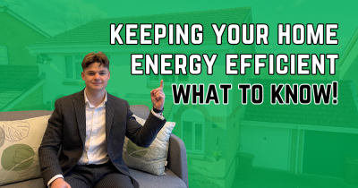 🌿 Green Living: How to Make Your Home More Eco-Friendly