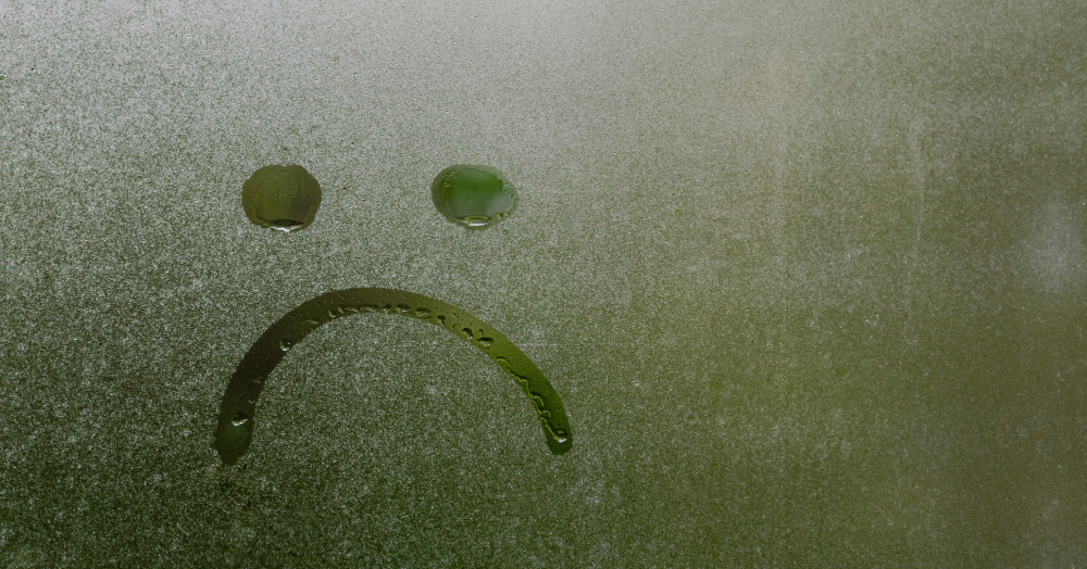 What to Do If You're Not Happy with Your Estate Agent? π€