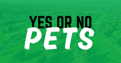 Can I say 'No' to pets?