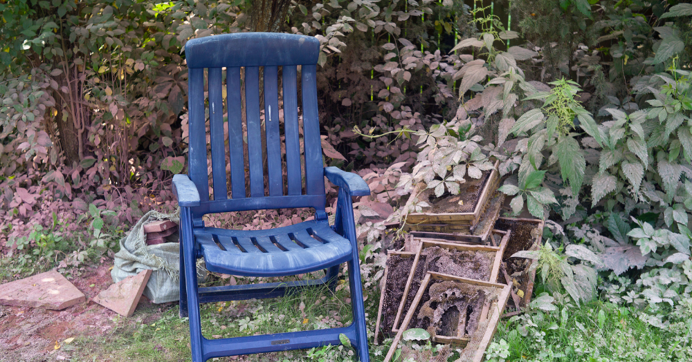 How Your Neighbour’s Messy Garden Could Cost You £42,000 – Or More 🏚️
