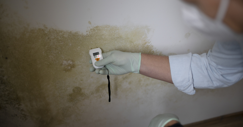 Navigating Awaab's Law: A Positive Step for Landlords, Agents, and Tenants