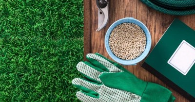A landlord’s guide to garden maintenance for rented homes