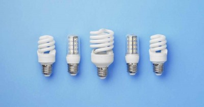 Support a healthier planet with these 8 environmentally friendly home tips