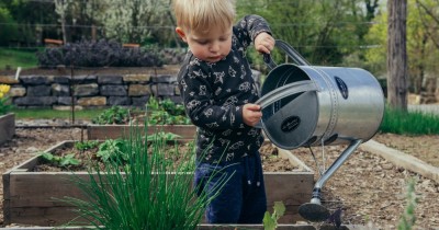 Spring into action and make sure that your garden looks the best for Summer with this to-do list.