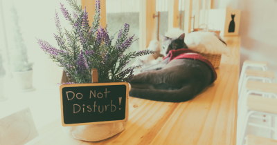 Do Not Disturb - Did you know that you could pause viewings on your property through the Christmas period?