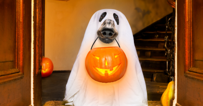 Could a Ghostly Presence Lower Your Home's Value? Find Out Here.
